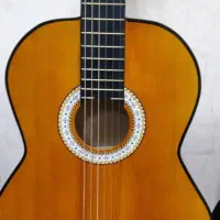 فروش گیتار