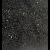 بزر پیاز مرغوب با زمانت انواع تخم