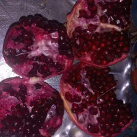 انار رامشه دونه مشکی