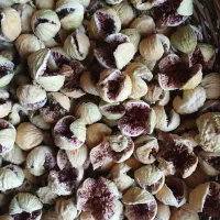 انجیر پرک|خوردنی و آشامیدنی|شیراز, شهرک ترکان|دیوار