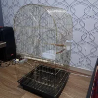 قفس و لانه پرنده