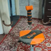 دستگاه ورزشی