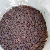 کشمش بیدانه|خوردنی و آشامیدنی|تاکستان, |دیوار