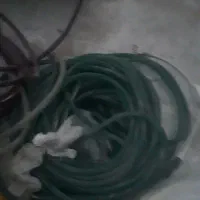 ریسه رنگی