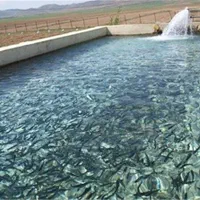 نگهبان استخر پرورش ماهی