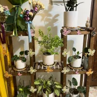 اسند گل چوبی|صنایع دستی و سایر لوازم تزئینی|مبارکه, |دیوار