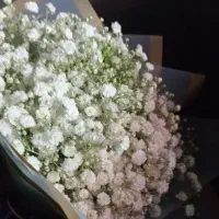 لطفا راهنمایی کنین