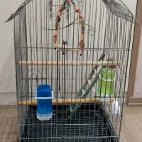 یک عدد قفس با تمام وسایل