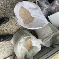 برنج شمالی