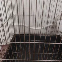 قفس طوطی عروس هلندی|لوازم جانبی حیوانات|تهران, جوادیه تهرانپارس|دیوار