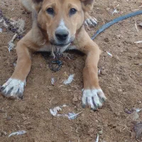 یک سالشه فروشی