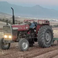 تراکتور عتیقه طلا