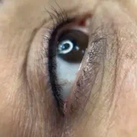 آموزش تخصصی   آف خورد **فیبروز**تاربه تار محدود|خدمات آموزشی|تبریز, |دیوار