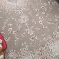 دو فرش ۱۲ متری|فرش|خمین, |دیوار