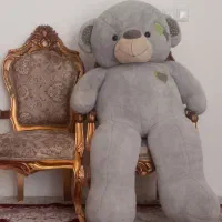 شاسخین  بزرگ خرس بزرگ بالای ۱ مترو نیم