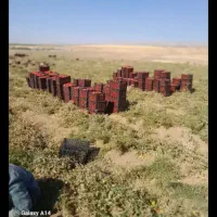 کارگر افغان