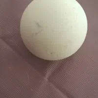 سنگ آسیاب الماس|کلکسیون اشیاء عتیقه|کرج, عظیمیه|دیوار