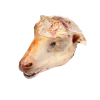 کله پاچه