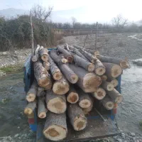 خرید چوب باغی. مرکبات ساختمانی