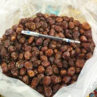 خرما خاصویی|خوردنی و آشامیدنی|کوخرد هرنگ, |دیوار