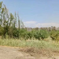 باغچه