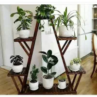 تولید و پخش جاگلدانی  و استند|گل و گیاه طبیعی|دلیجان, |دیوار