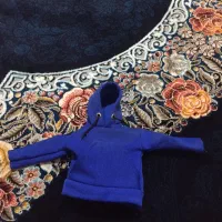 هودی سر دنده ماشین
