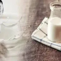 شیر الاغ|خوردنی و آشامیدنی|ساوه, |دیوار