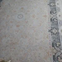 یک جفت فرش ۱۲۰۰ شانه تراکم ۳۶۰۰ گل برجسته نو|فرش|الوند, |دیوار