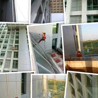 پیچ ورولپلاک نما،شستشوی نما،کاردرارتفاع،کارباطناب|خدمات پیشه و مهارت|تهران, استاد معین|دیوار