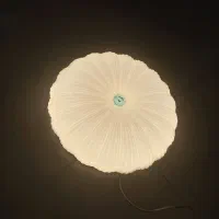 چراغ سقفی|لامپ و چراغ|محمدشهر, همایون ویلا|دیوار