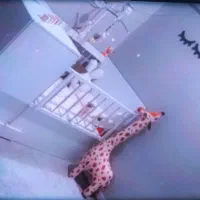 تخت خواب دو منظوره کودک و نوجوان در حد نو