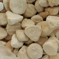 کشک درجه یک گاوی