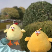 عروسک جوجو|اسباب‌‌بازی|کلاچای, |دیوار