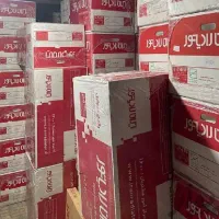 پکیج ایران رادیاتور مدل A22FF