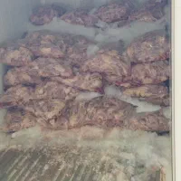 اسکلت مرغ و غذای حیوانات