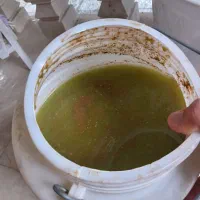 آبغوره ی طبیعی وارگانیک