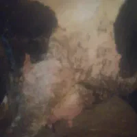 گاو|حیوانات مزرعه|فارسان, |دیوار