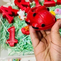 شمع|کلکسیون و سرگرمی|بندرعباس, |دیوار