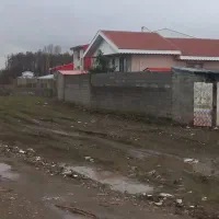 زمین افرای بشمن تک برگ