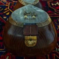 تار حرفه ای اعلا میثم علیاری|سازهای سنتی|پاکدشت, پاکدشت (مامازند)|دیوار