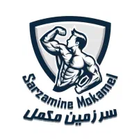 استخدام