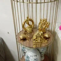 ویترین قفسه