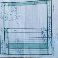 دوچرخه 26 ویوا|دوچرخه، اسکیت، اسکوتر|مشهد, منزل آباد|دیوار