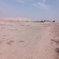 زمین کشاورزی|فروش دفتر صنعتی، کشاورزی، تجاری|جوادآباد, |دیوار