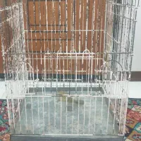 قفس بزرگ