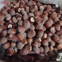 فندق الموت شرغی