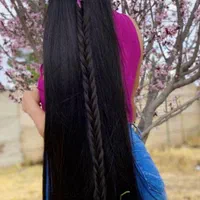 خریدار و صادر کننده مو|خدمات آرایشگری و زیبایی|دورود, |دیوار