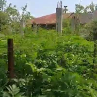 زمین با مجوز ساخت در شمال (تالش)