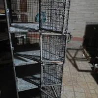 گنجه کفتری/جا مرغی/